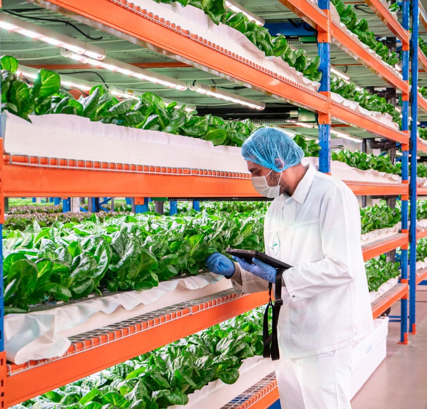 Emirates Flight Catering Acquires Bustanica, the World’s Largest Indoor Vertical Farm
