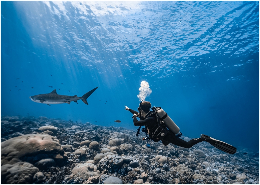 PADI and Chinese Celebrity Victor Ma Collaborate for Marine Conservation Short Film in the Maldives