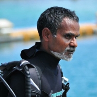 Hussain Rasheed (Sendi)